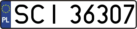 SCI36307