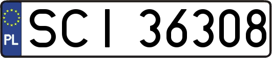 SCI36308
