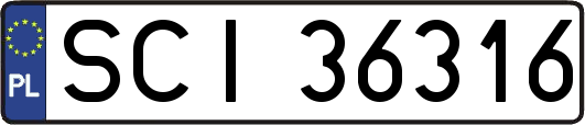 SCI36316