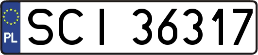 SCI36317