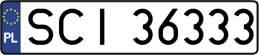 SCI36333