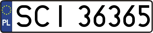 SCI36365
