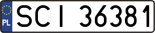 SCI36381