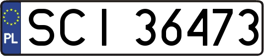 SCI36473