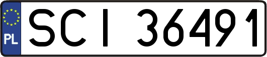 SCI36491