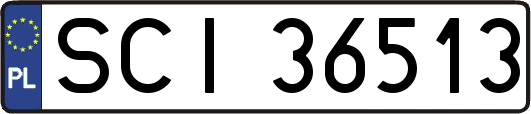 SCI36513