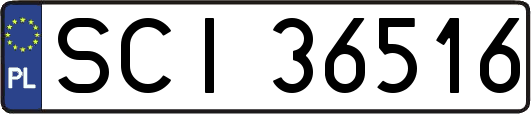 SCI36516