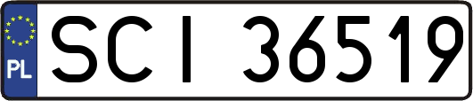 SCI36519