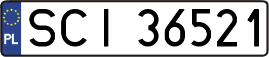 SCI36521