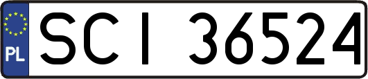 SCI36524
