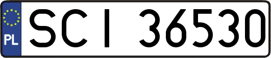 SCI36530