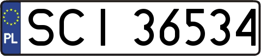SCI36534