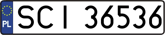 SCI36536