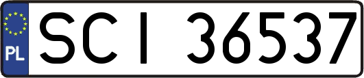 SCI36537