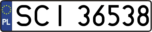 SCI36538