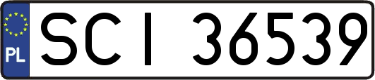 SCI36539
