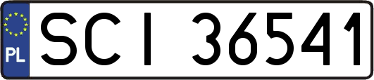 SCI36541