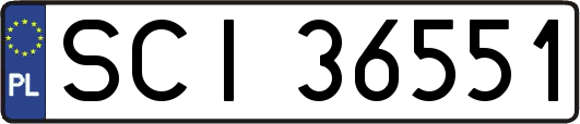 SCI36551