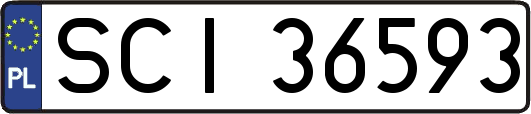 SCI36593