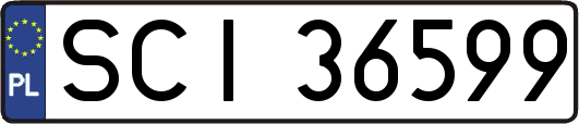 SCI36599
