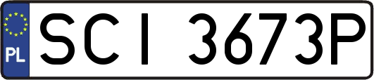 SCI3673P