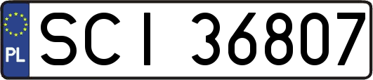 SCI36807