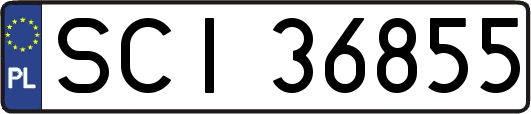 SCI36855