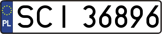 SCI36896