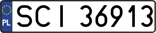 SCI36913