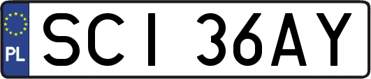 SCI36AY