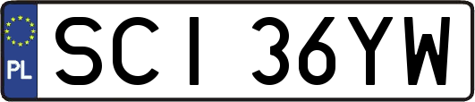 SCI36YW