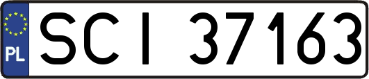 SCI37163