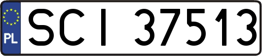 SCI37513