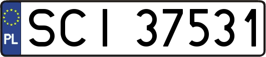 SCI37531