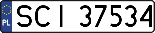 SCI37534