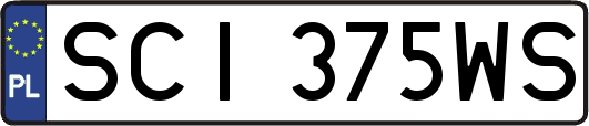 SCI375WS