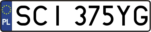 SCI375YG