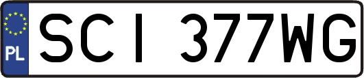SCI377WG