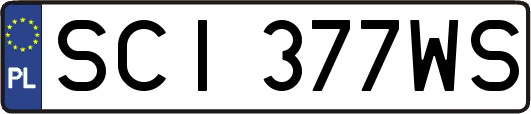 SCI377WS
