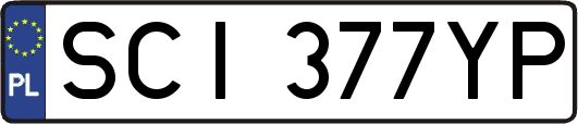SCI377YP