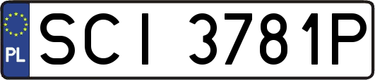 SCI3781P
