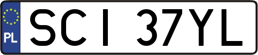 SCI37YL