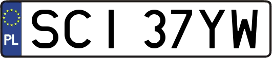 SCI37YW