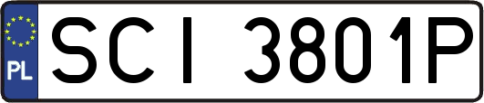 SCI3801P