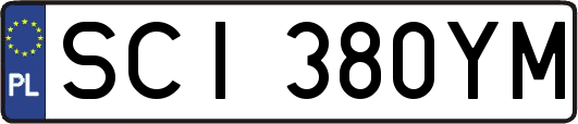 SCI380YM