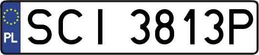 SCI3813P
