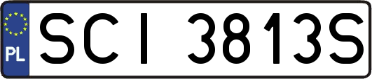SCI3813S