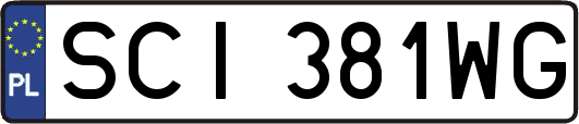 SCI381WG
