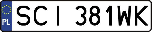 SCI381WK