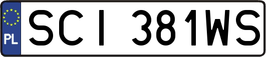 SCI381WS